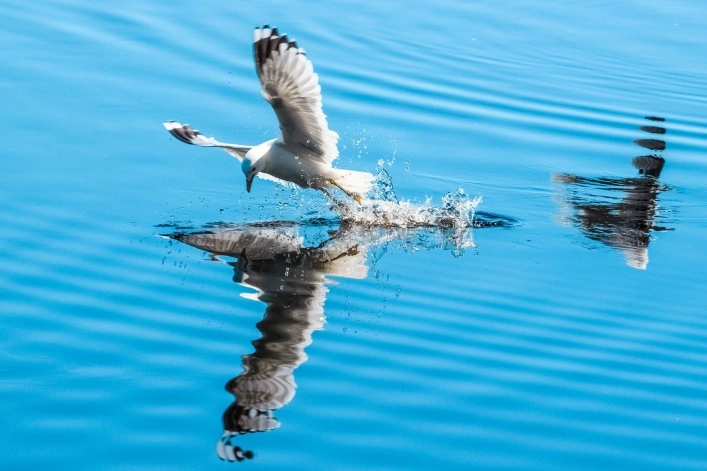 zobacz camping - zdjęcie 7