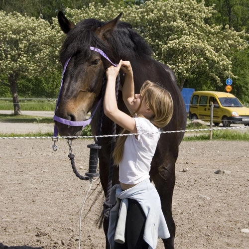 zobacz camping - zdjęcie 8