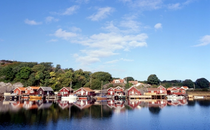 zobacz camping - zdjęcie 25