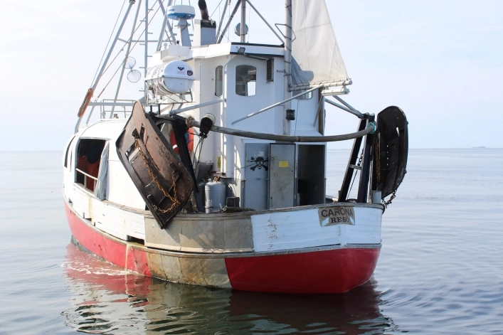 zobacz camping - zdjęcie 6