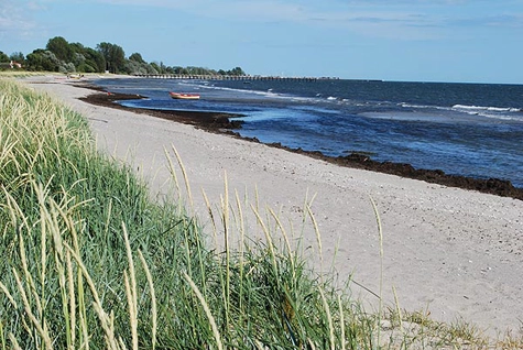 zobacz camping - zdjęcie 6