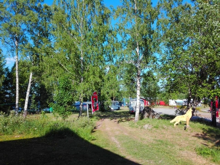 zobacz camping - zdjęcie 13