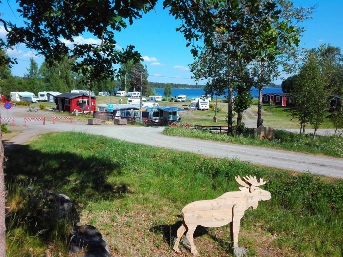 zobacz camping - zdjęcie 12