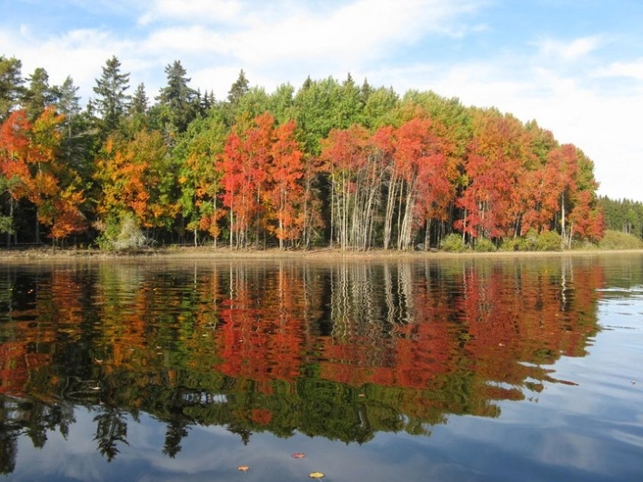 zobacz camping - zdjęcie 1