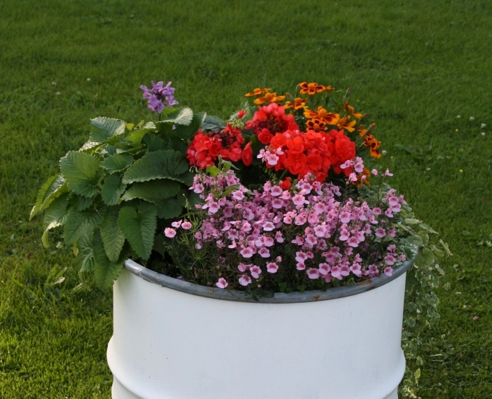 zobacz camping - zdjęcie 15