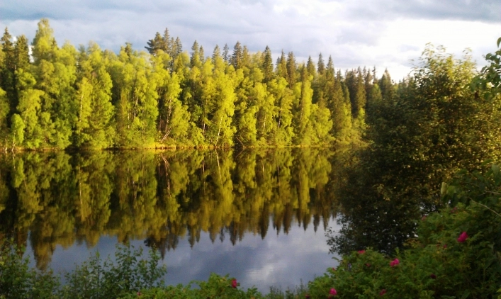 zobacz camping - zdjęcie 5