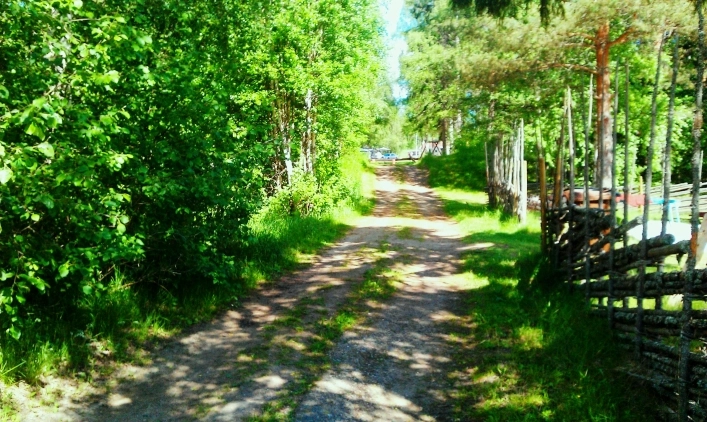 Dalarna Älvcamping - zdjęcie 1