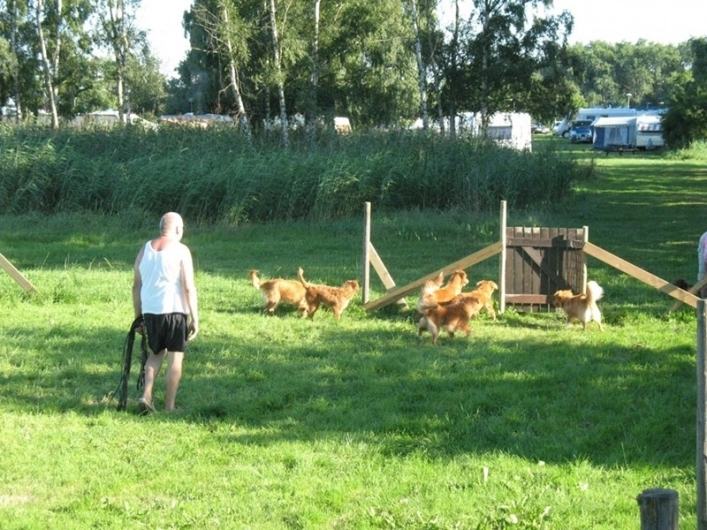 zobacz camping - zdjęcie 6