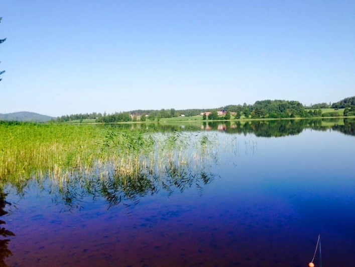 zobacz camping - zdjęcie 26