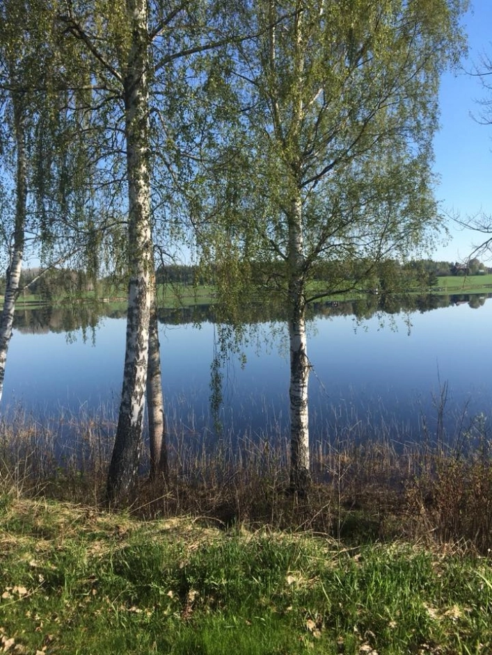 zobacz camping - zdjęcie 23