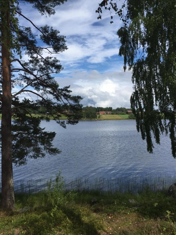 zobacz camping - zdjęcie 20