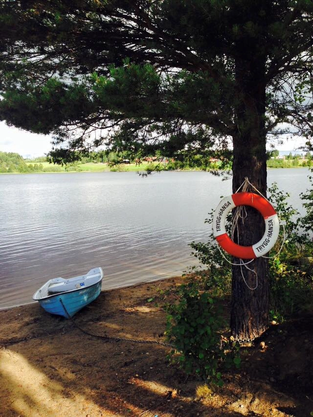 zobacz camping - zdjęcie 16