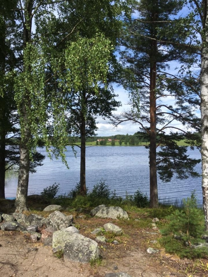 zobacz camping - zdjęcie 8