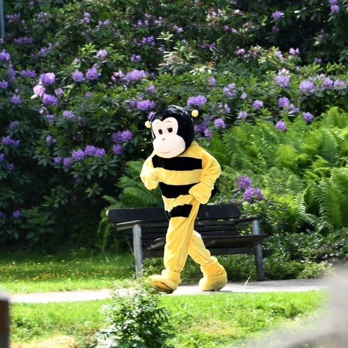 zobacz camping - zdjęcie 8