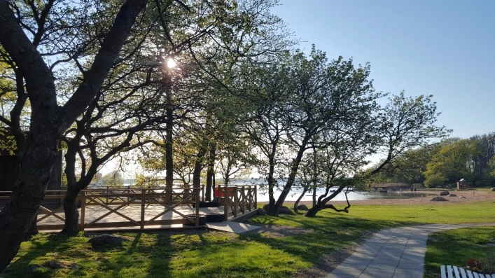 zobacz camping - zdjęcie 24