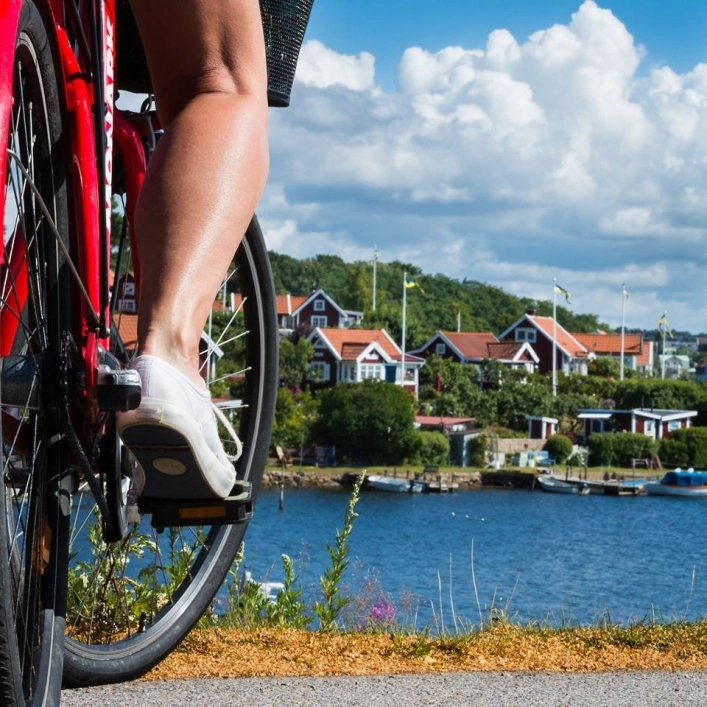 zobacz camping - zdjęcie 15