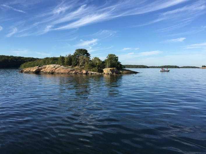 zobacz camping - zdjęcie 11