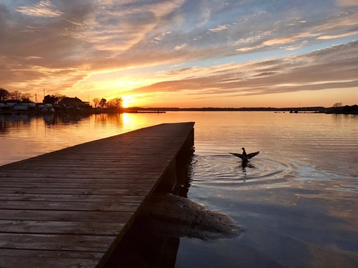 zobacz camping - zdjęcie 8
