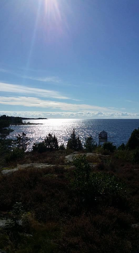 zobacz camping - zdjęcie 2