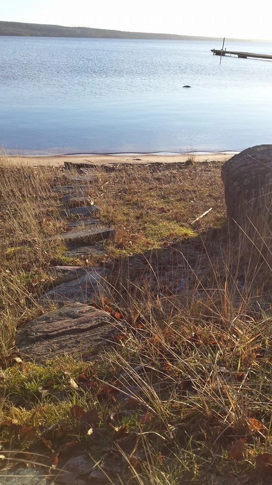 zobacz camping - zdjęcie 19