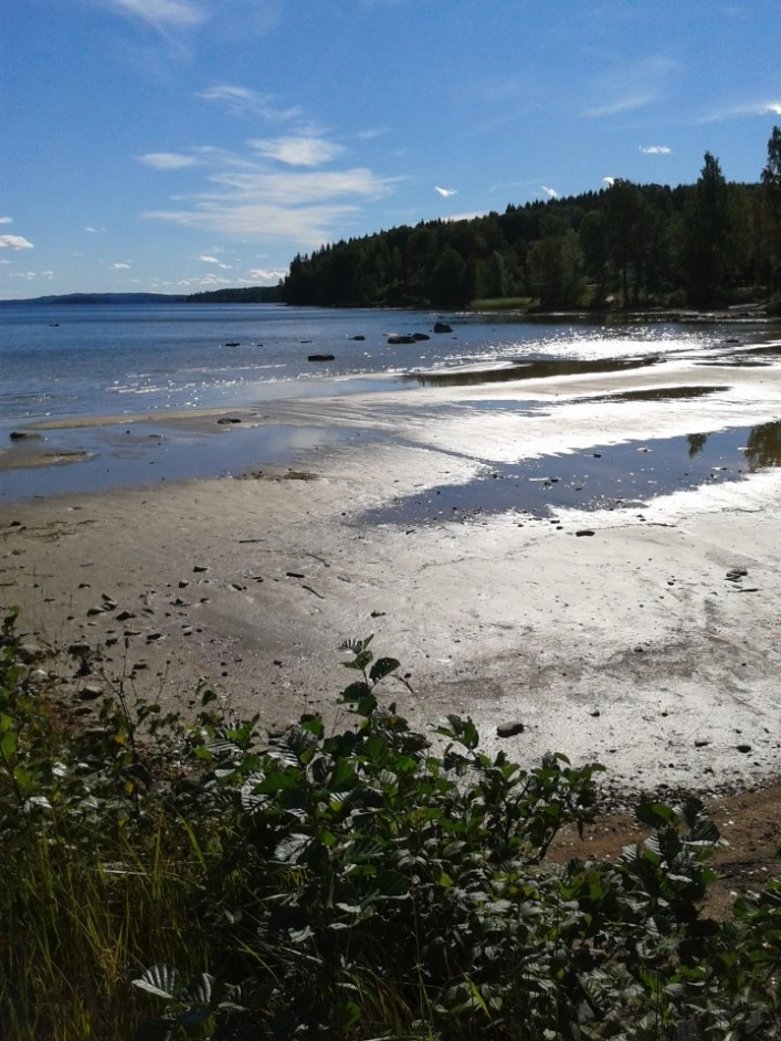 zobacz camping - zdjęcie 15