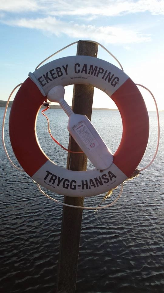 zobacz camping - zdjęcie 10