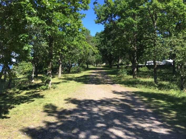 zobacz camping - zdjęcie 27