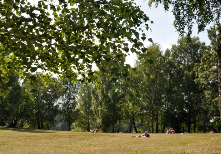 zobacz camping - zdjęcie 3