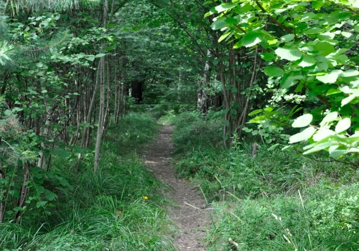 zobacz camping - zdjęcie 1