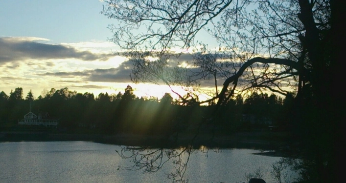 zobacz camping - zdjęcie 14