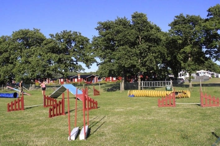 zobacz camping - zdjęcie 17