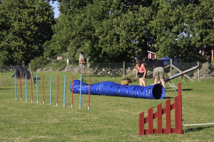 zobacz camping - zdjęcie 10