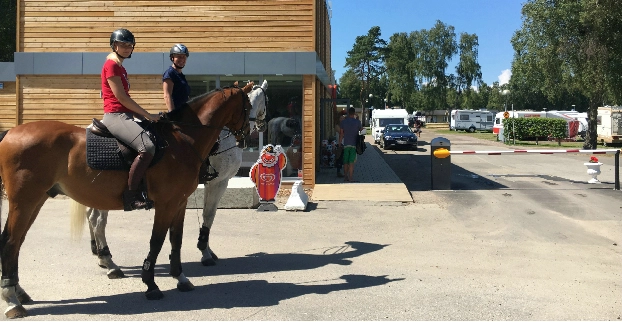 zobacz camping - zdjęcie 12