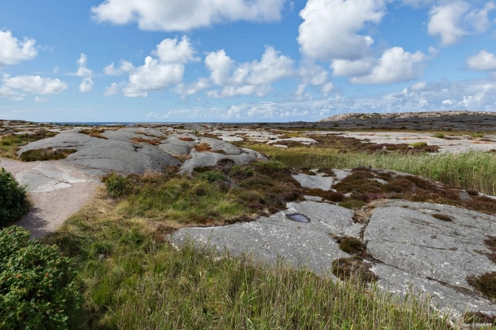 zobacz camping - zdjęcie 18