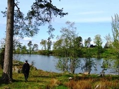 zobacz camping - zdjęcie 14