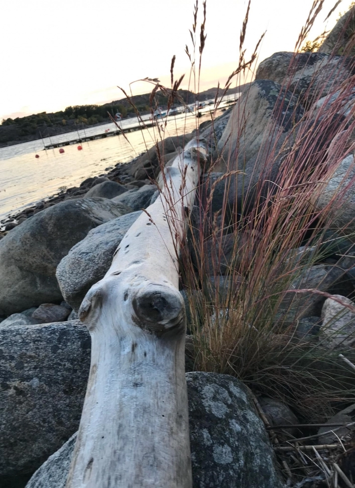 zobacz camping - zdjęcie 12