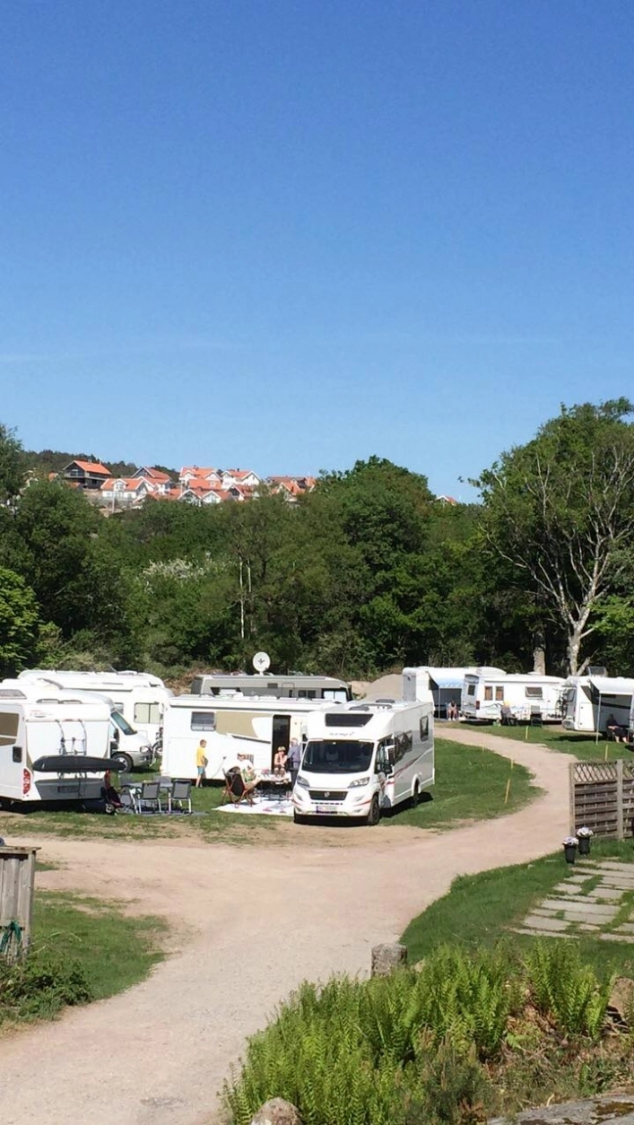 zobacz camping - zdjęcie 7