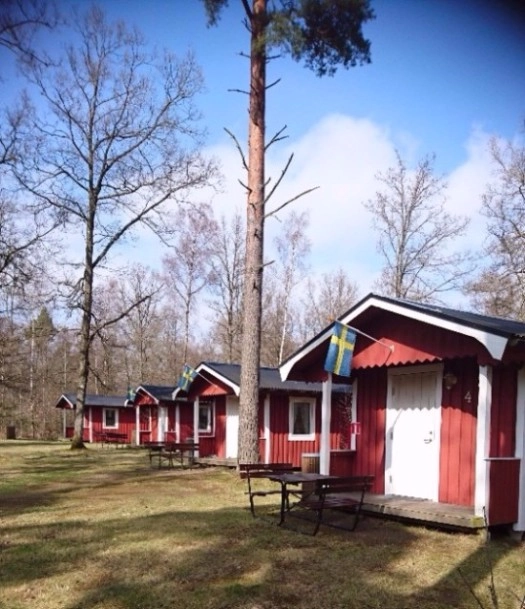 zobacz camping - zdjęcie 9