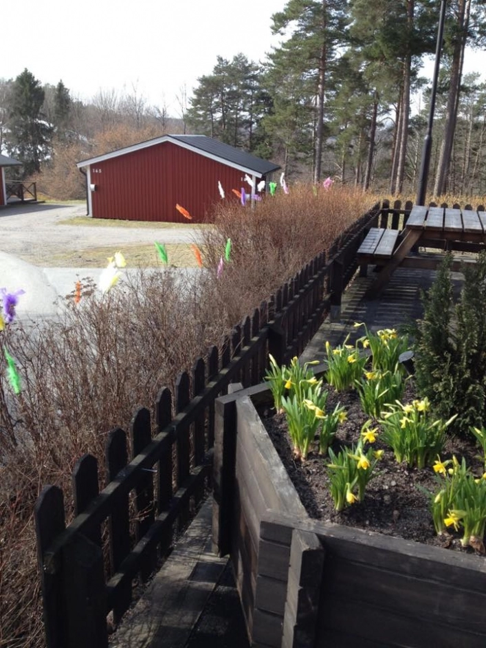 zobacz camping - zdjęcie 20