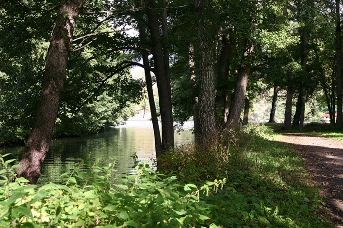 zobacz camping - zdjęcie 19