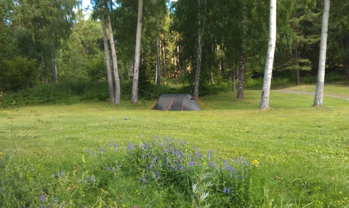 zobacz camping - zdjęcie 15