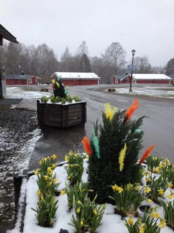 zobacz camping - zdjęcie 8