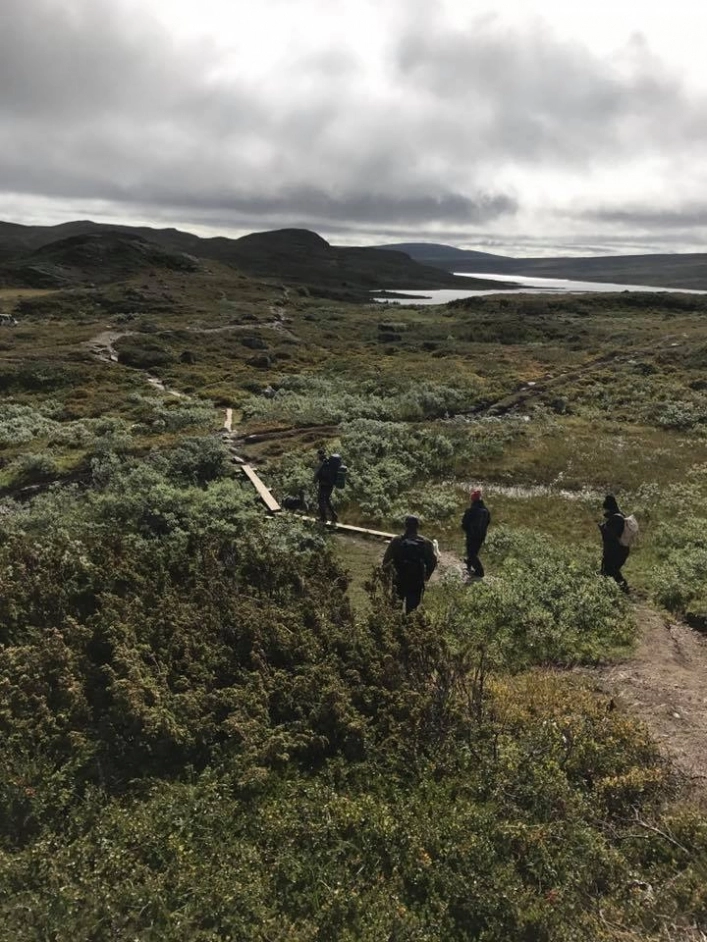 zobacz camping - zdjęcie 17