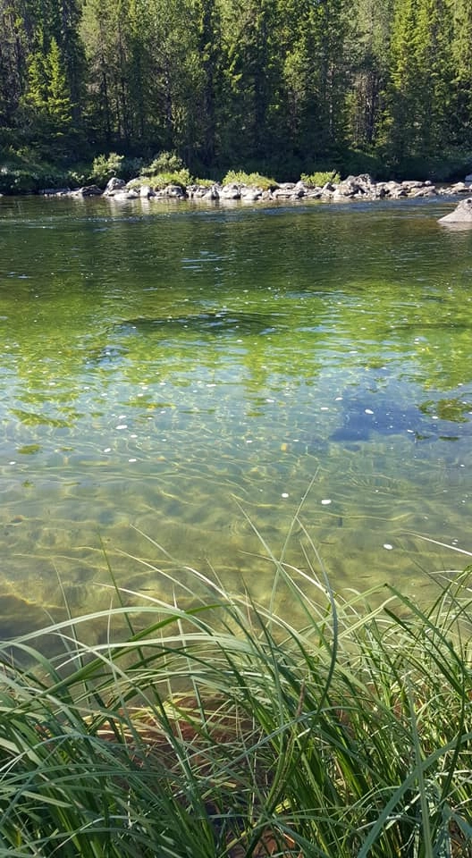 zobacz camping - zdjęcie 7