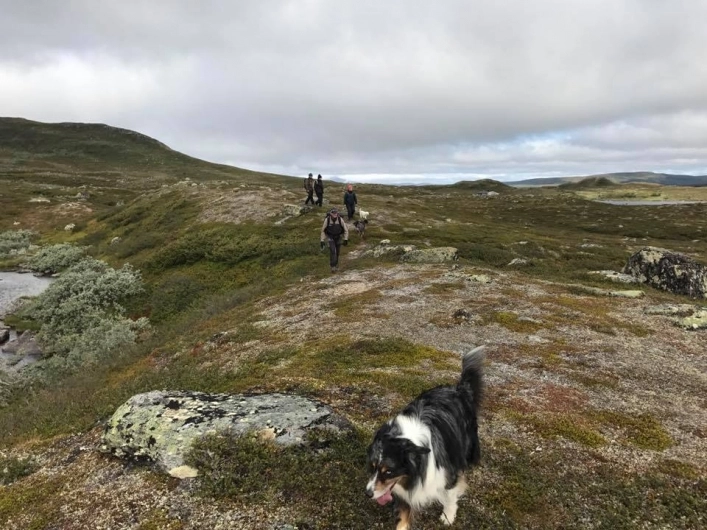 Funäsdalens Fjällcamping - zdjęcie 1