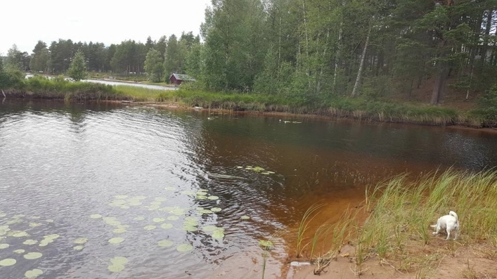 Furudals vandrarhem och camping - zdjęcie 1