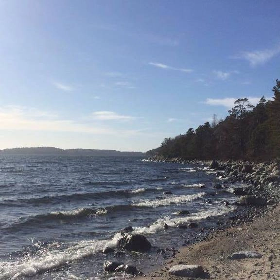 zobacz camping - zdjęcie 35