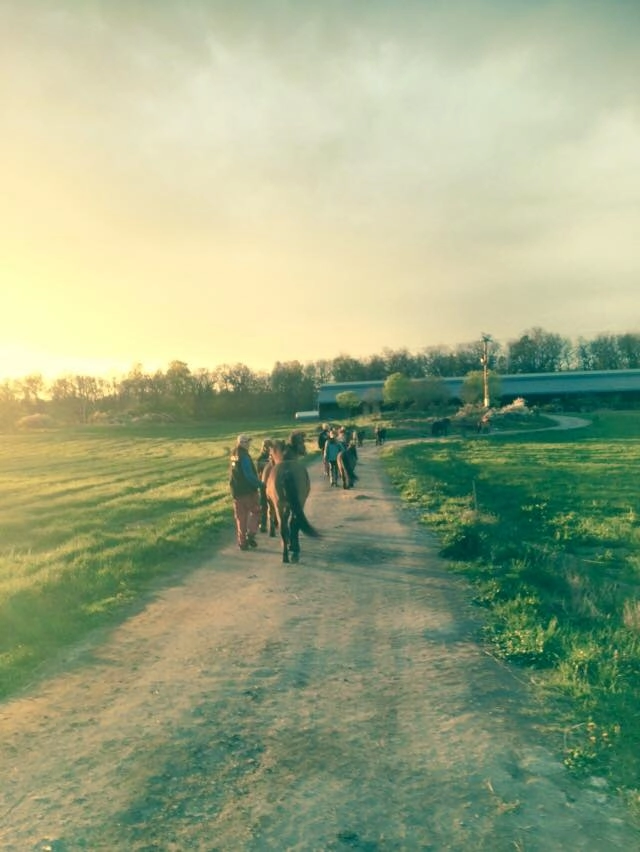 zobacz camping - zdjęcie 22