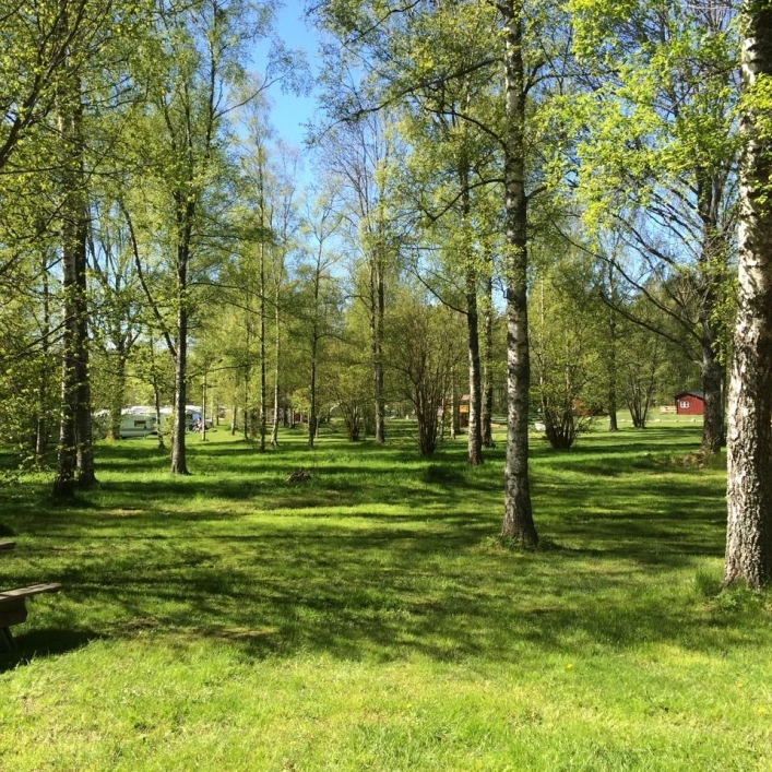 zobacz camping - zdjęcie 20