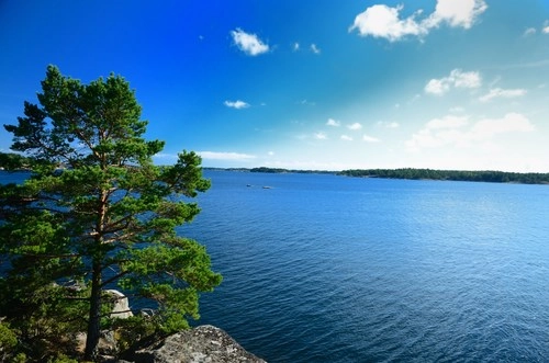 zobacz camping - zdjęcie 16